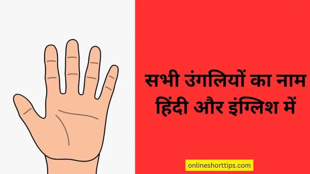 All five fingers Name in English and Hindi